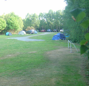 The spacious campsite at Quarry Walk Park